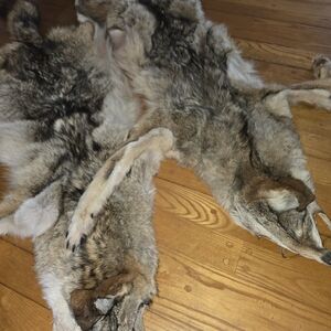 Natural Fur Pelts